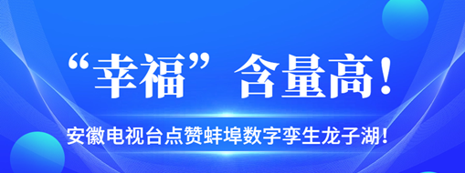 ?“幸?！焙扛?，安徽電視臺點贊蚌埠數字孿生龍子湖！
